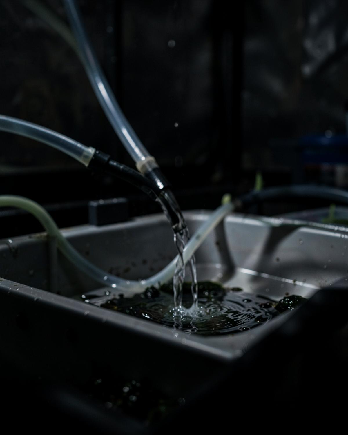Pumps & Irrigation at Golden Valley Hydroponics